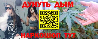 сатива Бердск