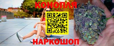 сатива Бердск